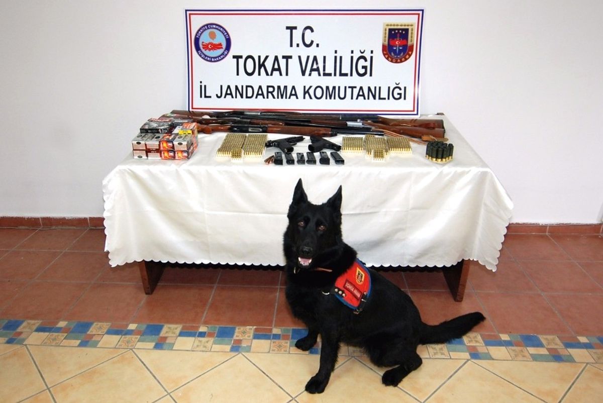 Tokat\'ta Silah Kaçakçılarına Darbe