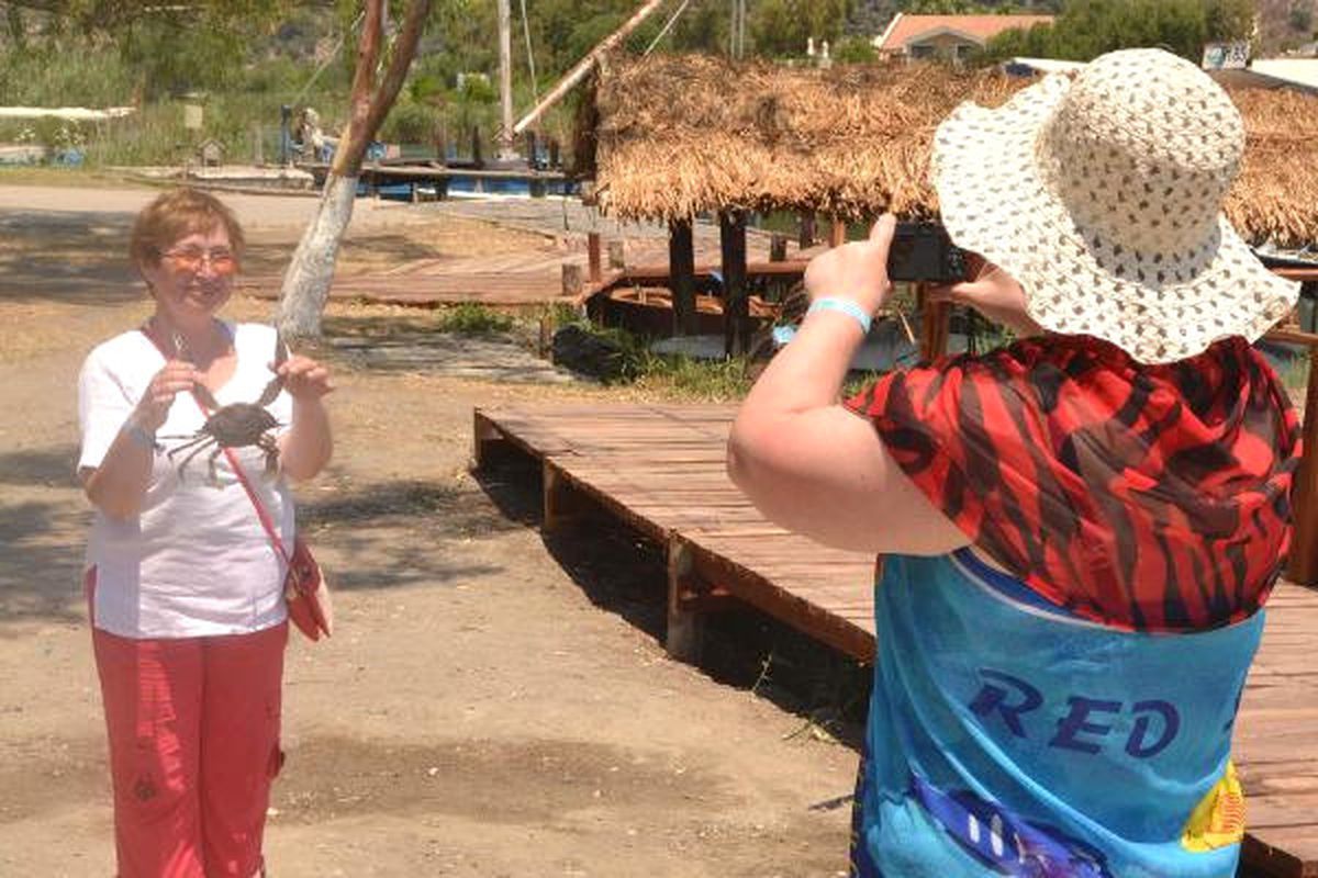 Turistlerin Mavi Yengeç İlgisi
