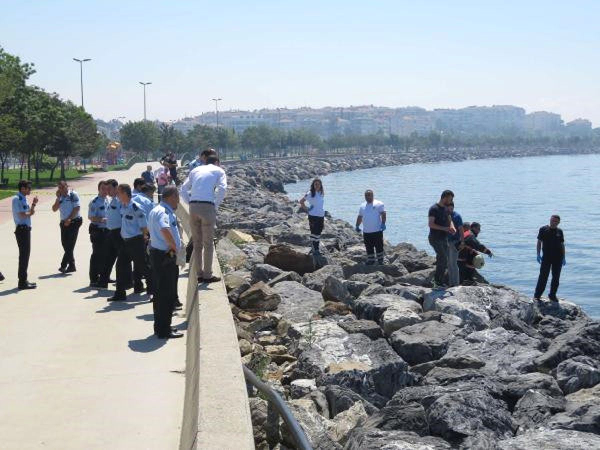 Pendik\'te Kayalıklar Arasında Ceset Bulundu