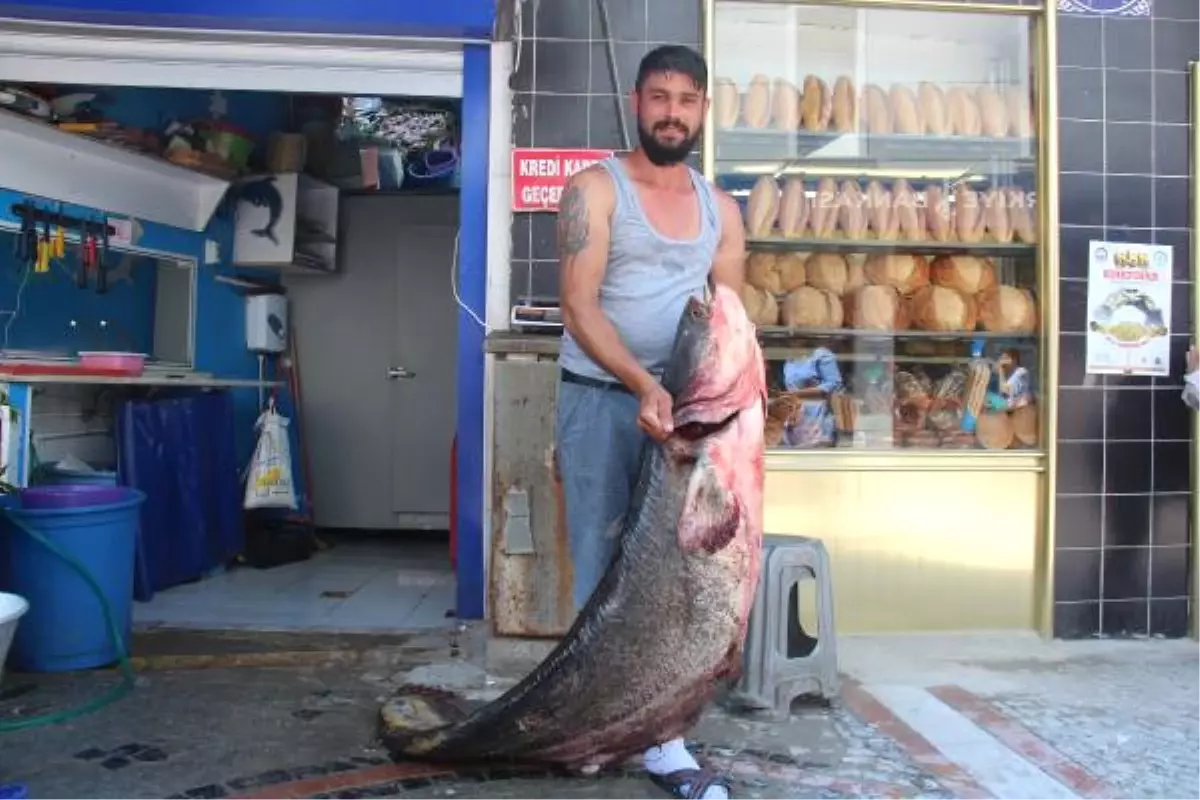 Tunca Nehri\'nden 2 Metre 22 Santimlik Yayın Balığı Yakaladı