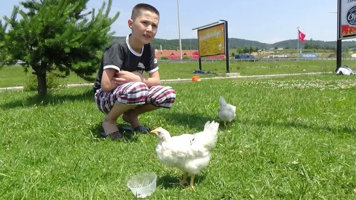 Bayram Trafiği Tatilcileri Bunalttı