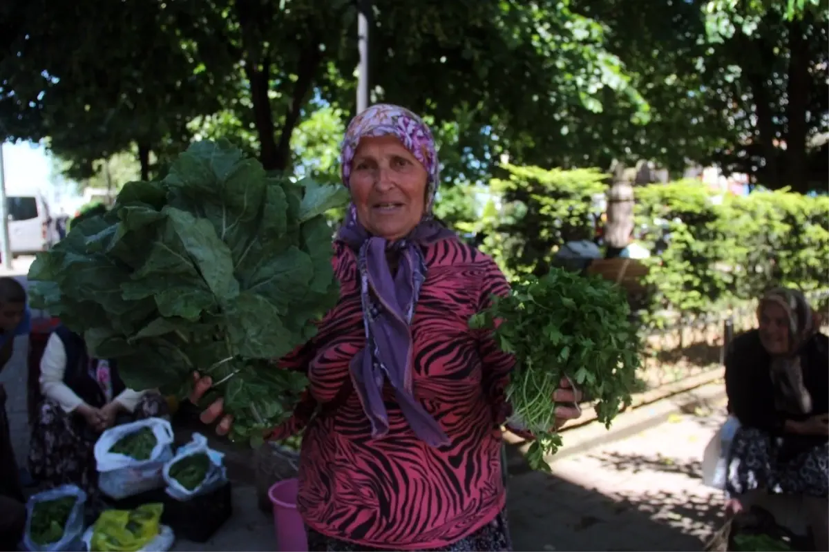 Toprağın Bereketiyle Aile Ekonomisine Katkı Sağlıyorlar