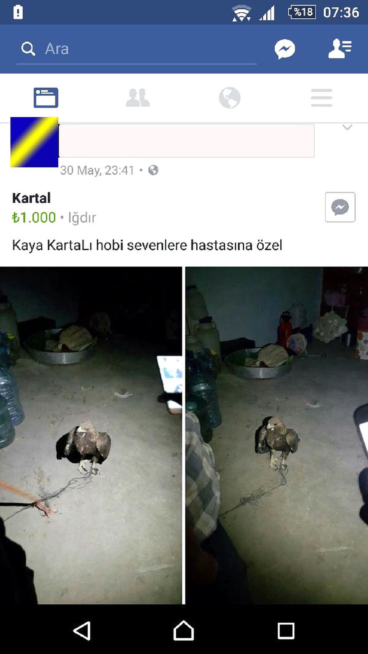 Bin Liraya Satmaya Kalktığı Kartal İçin 9 Bin Lira Ceza Kesildi