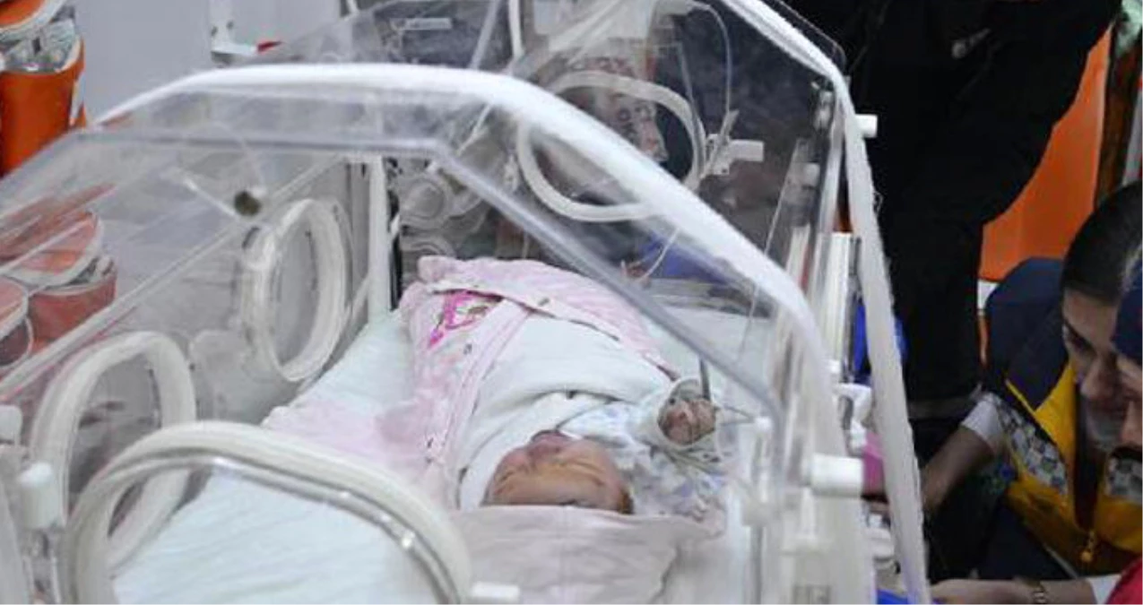 Sokakta Bulunan Bebek, Hastanede Öldü