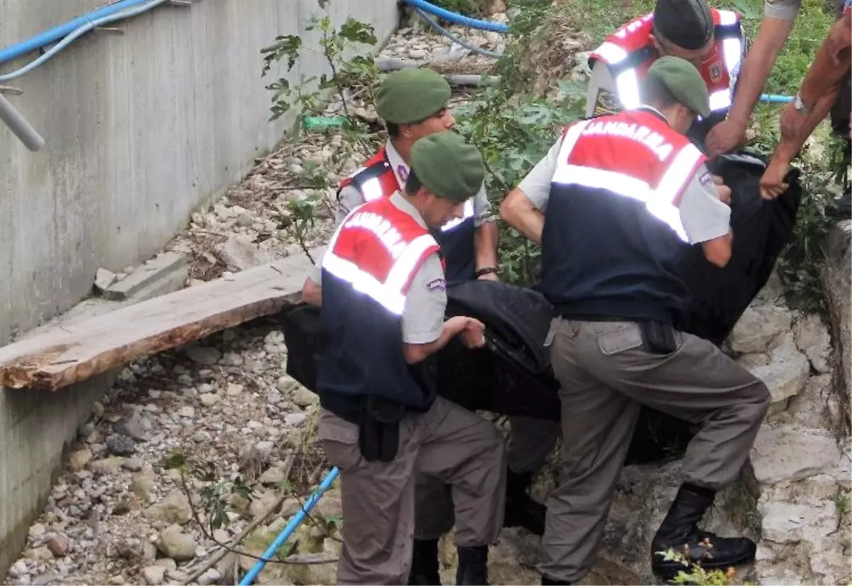 Ağaçta Elektrik Akımına Kapılarak Can Veren Genç Bayramı Yasa Boğdu