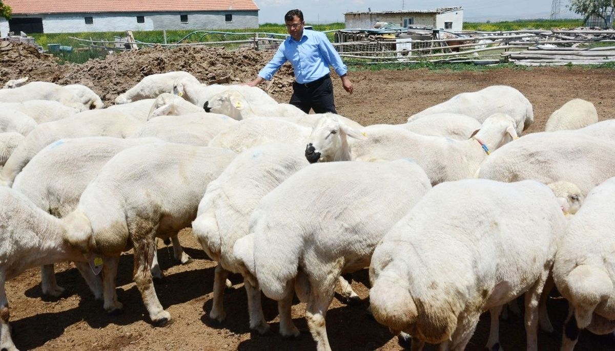 Aktürk: "Meralarımızdan Ellerini Çeksinler"