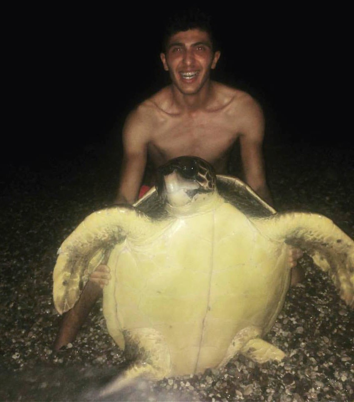 Caretta Carettalar Tatilcilerin Maskotu Oluyor