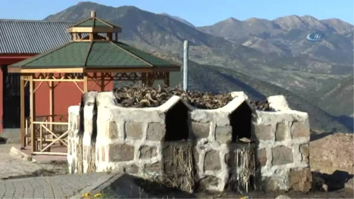 Düzgün Baba Ziyaretgahı Doğal Yaşamdan Ziyaretçilerini Ağırlıyor