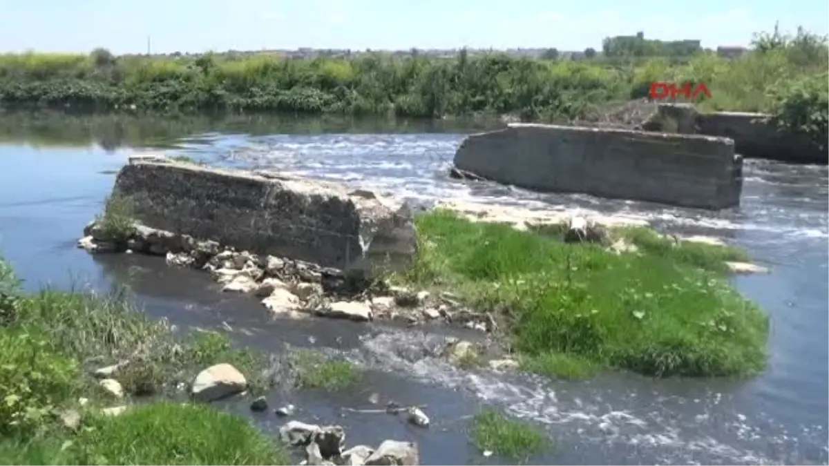 Edirne Çevreci Bülent Kaçar: Ergene Şimdi Daha Kirli