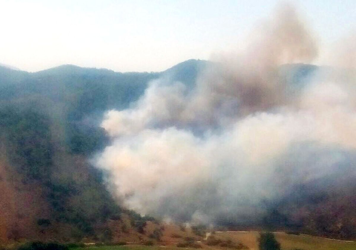 Milas\'ta Ziraat Alanında Başlayan Yangın Ormanı Yaktı