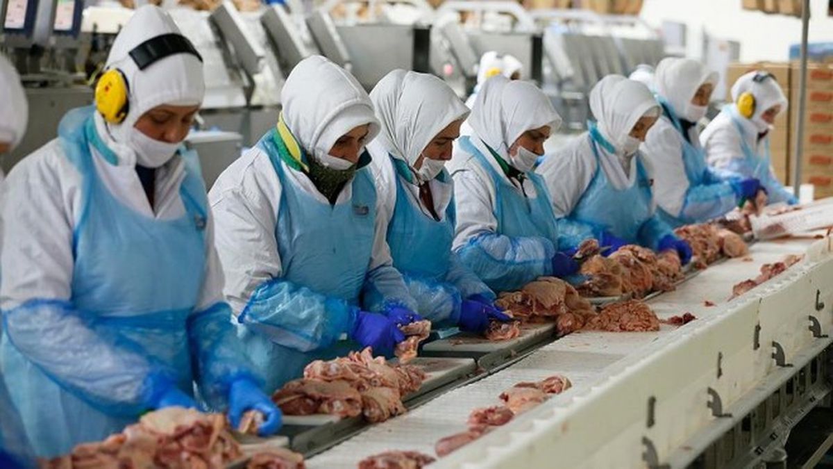 Pilicin Budundan Çok Ayağı İhraç Ediliyor