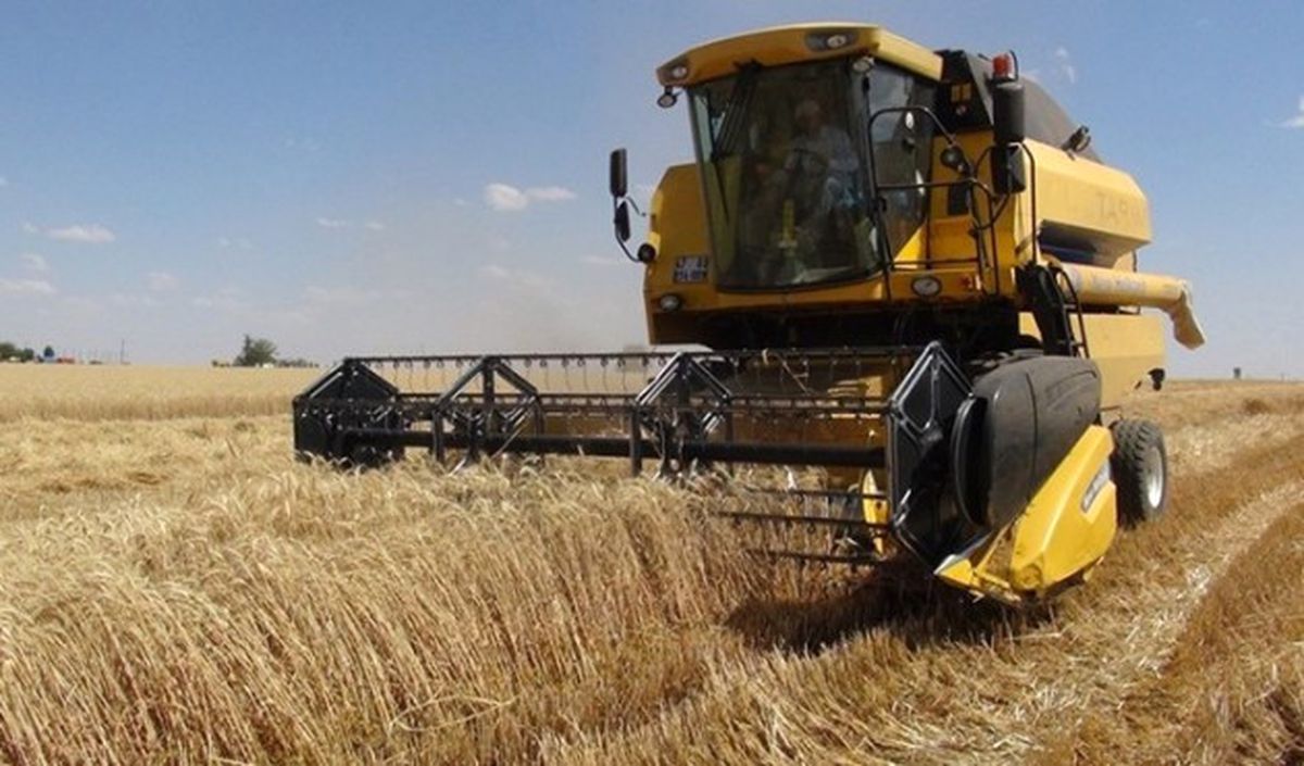 Arpa Rekoltesinde Düşüş Bekleniyor