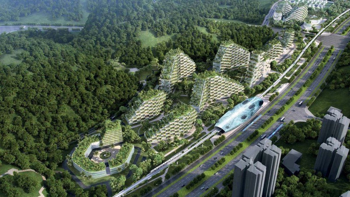 Çin İlk Orman Kentini İnşaya Hazırlanıyor