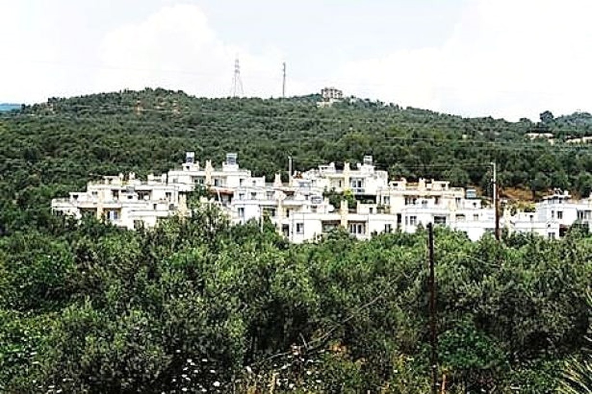 Dha Yurt - Zeytinlikler Yazlık Tehdidi Altında