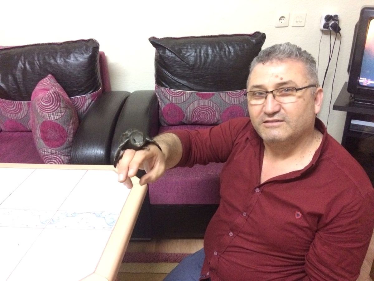 Hisarcık\'ta Ebabil Kuşu