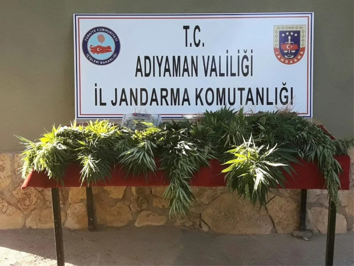 Jandarma Uyuşturucu Operasyonu Gerçekleştirdi