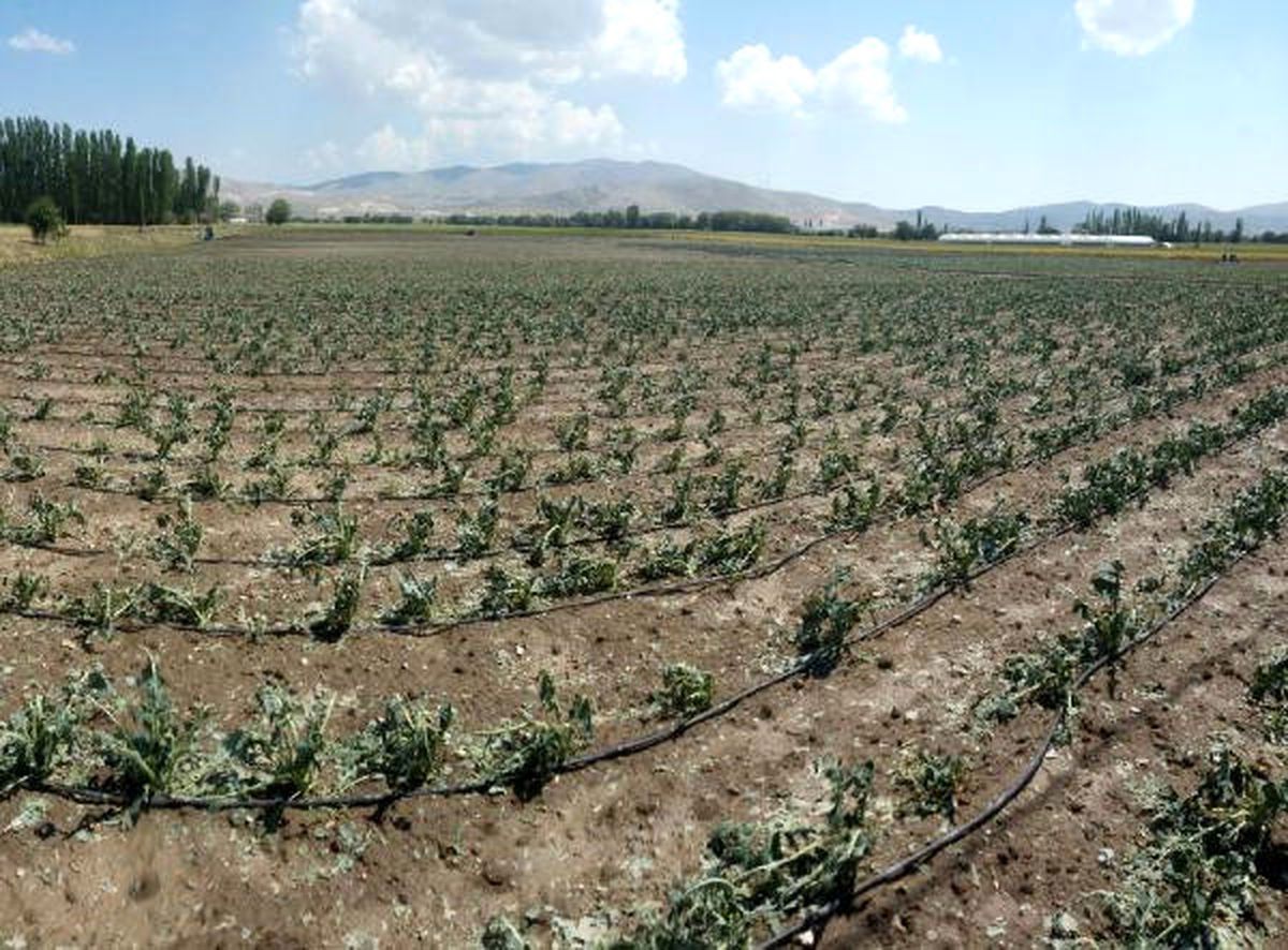 Korkuteli\'de Tarım Arazilerini Dolu Yağışı Vurdu