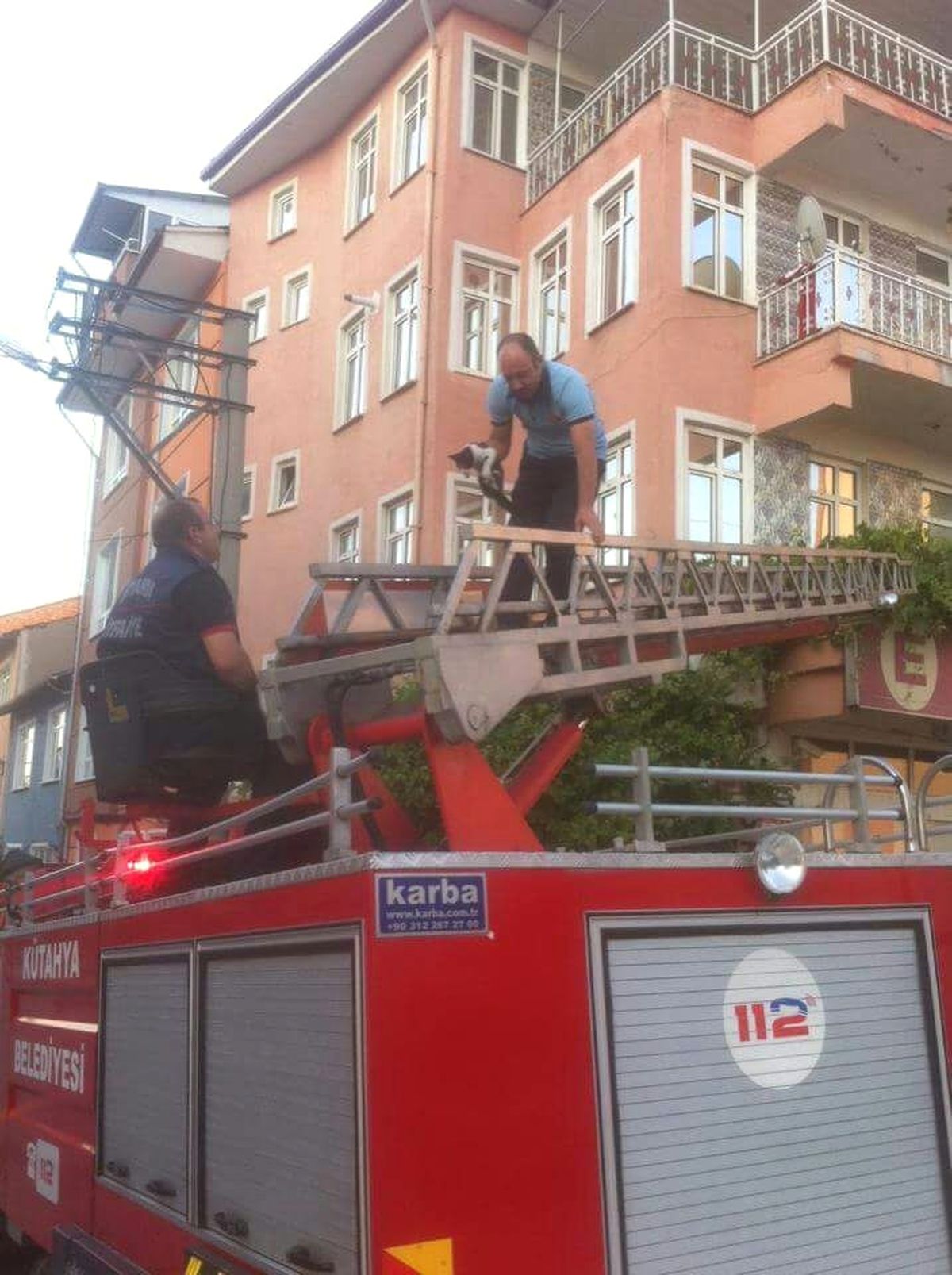 Tabela ile Duvar Arasına Sıkışan Kedi Kurtarıldı