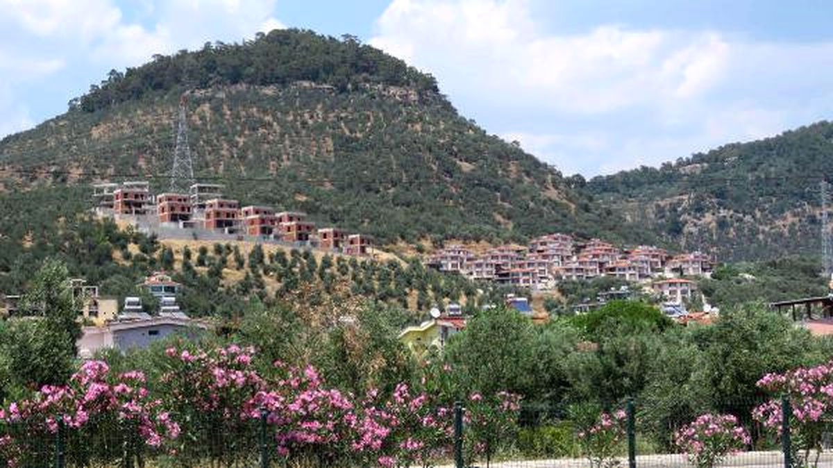 Zeytinlikler Yazlık Tehdidi Altında