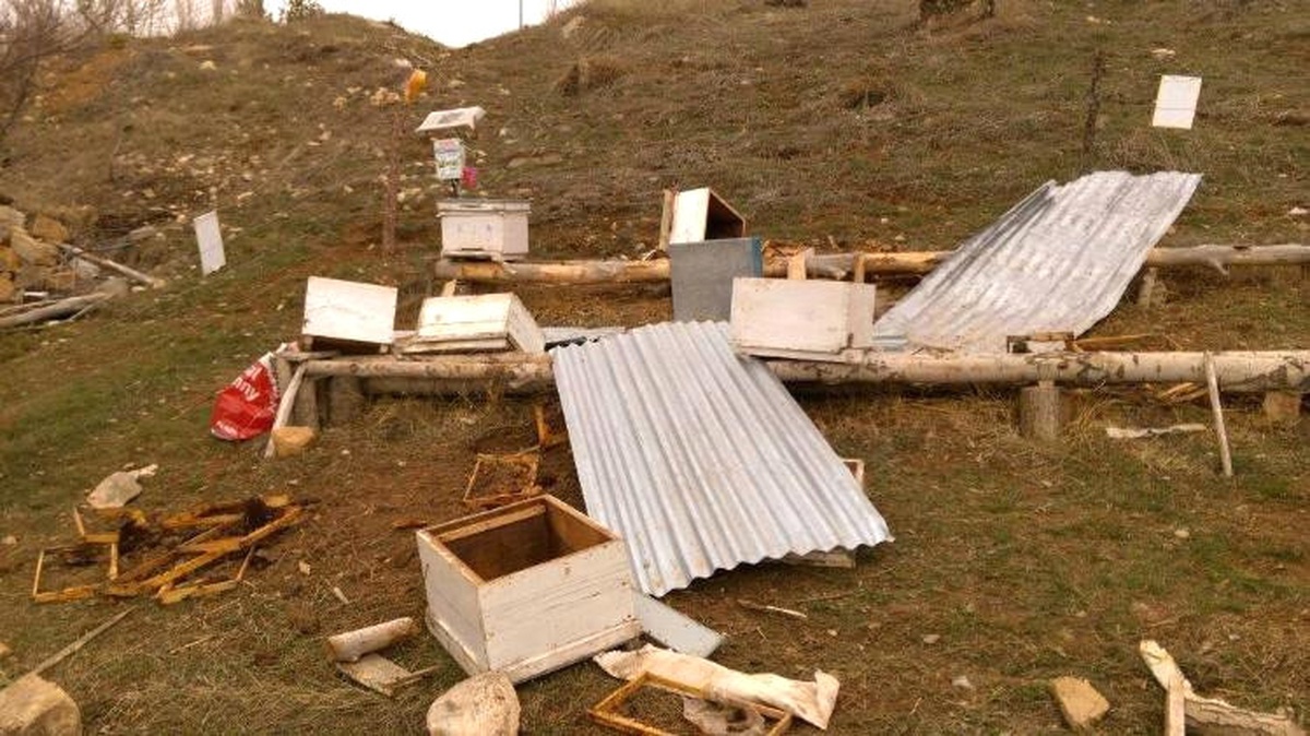Arı Kovanlarına Saldıran Ayı Güvenlik Kamerasına Yansıdı
