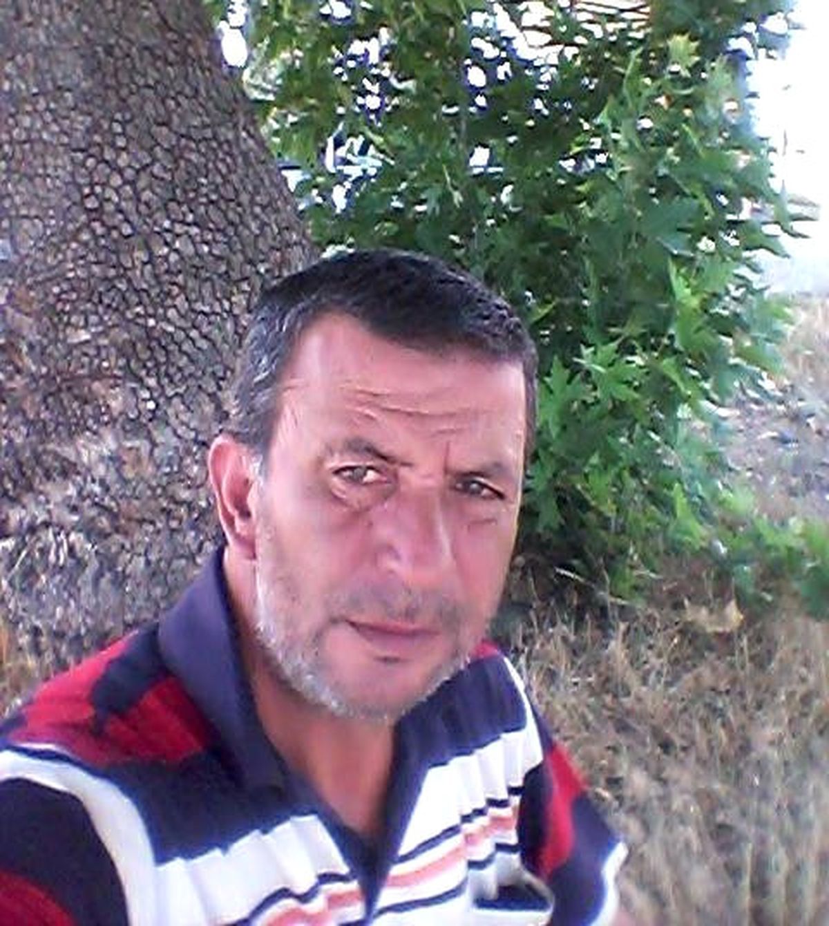 Bayramiç\'te Trafik Kazası: 1 Ölü