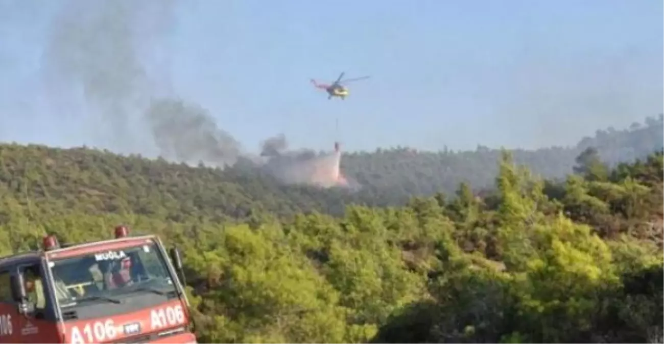 Datça\'da Orman Yangını