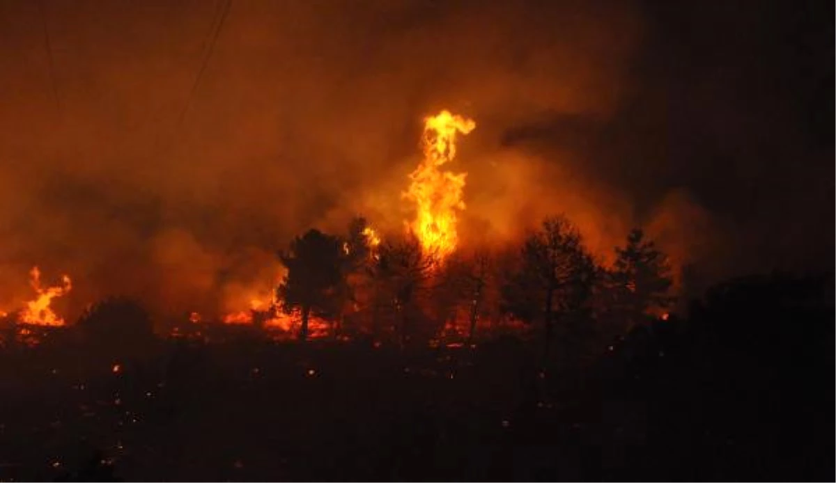 Datça\'da Orman Yangını