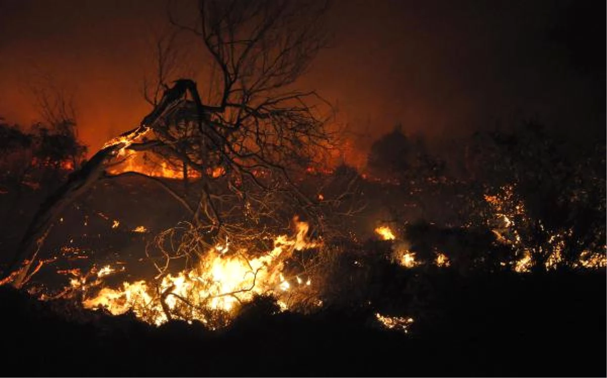 Datça\'da Orman Yangını (2)