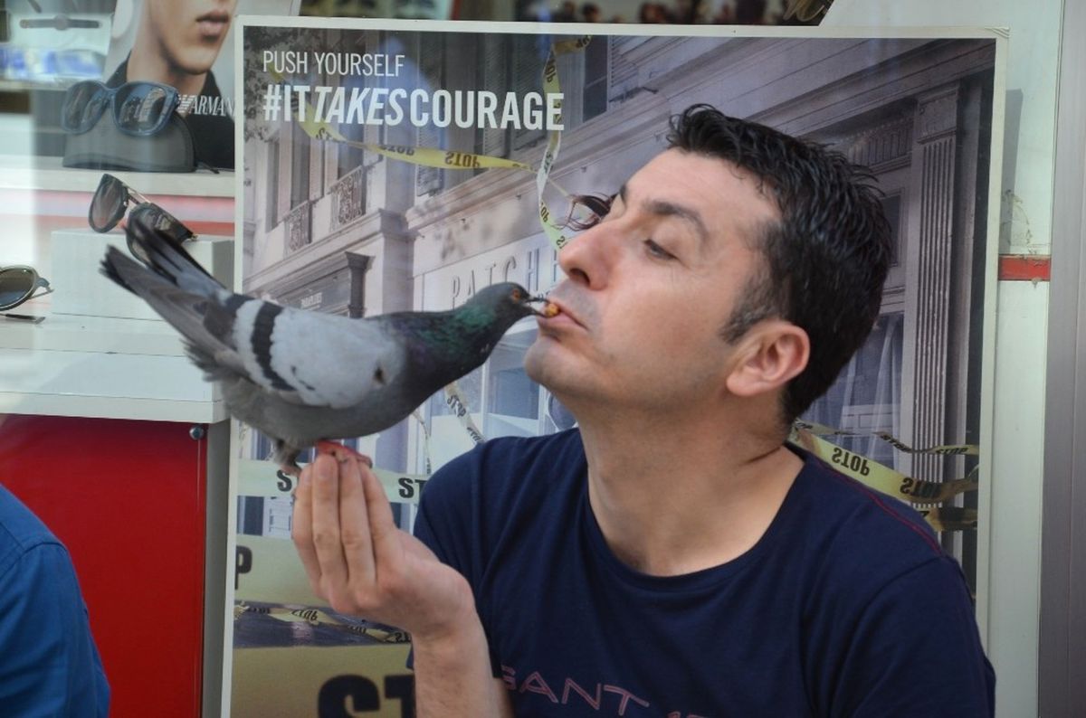 Güvercinleri Ağzıyla Besliyor