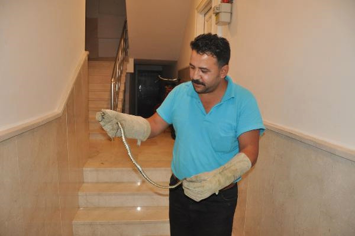 İnegöl\'de Apartmana Giren Yılan Korkuya Neden Oldu