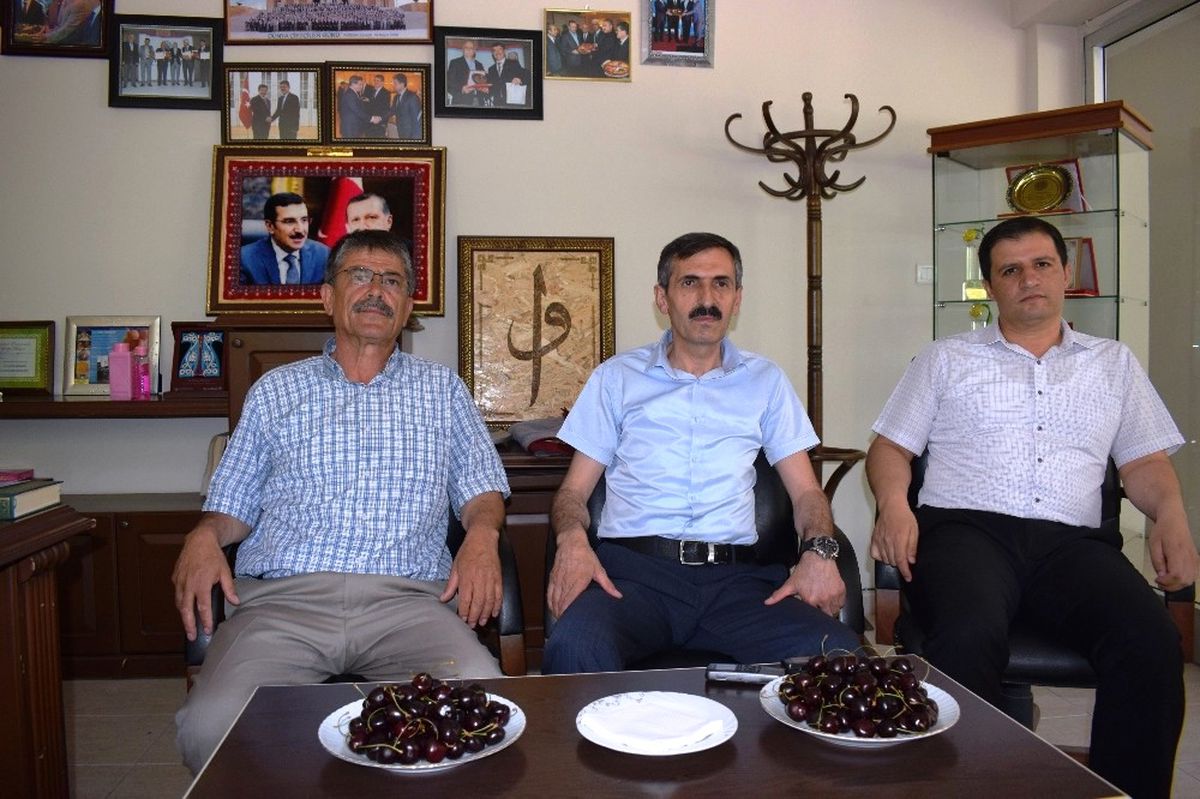 Kiraz Hasadı Çiftçinin Yüzünü Güldürdü