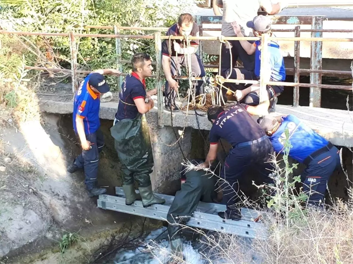 Malatya\'da Otomobil Sulama Kanalına Uçtu: 1 Ölü, 2 Yaralı