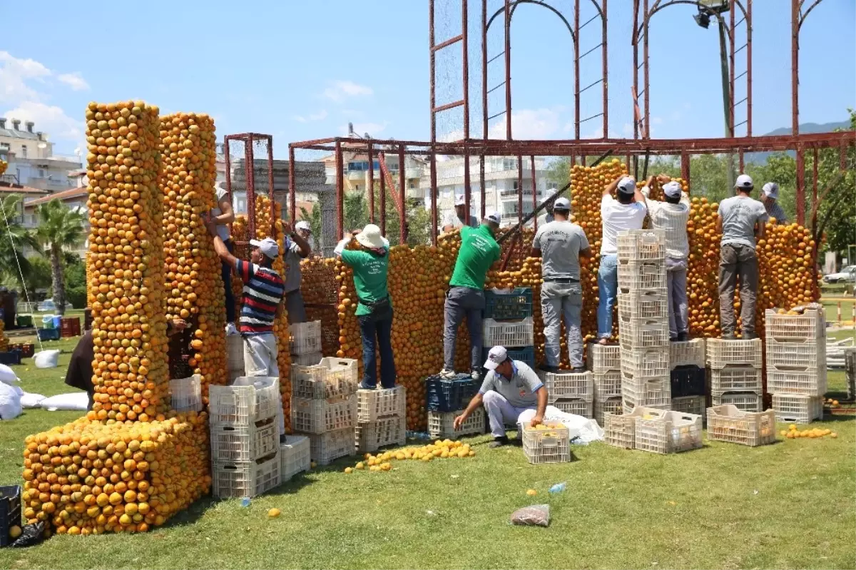 Portakal Festivali Başladı