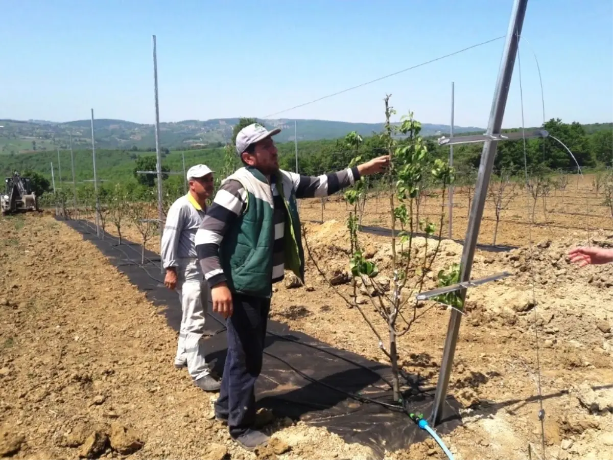 Uygulama Bahçesi Çiftçileri Bilinçlendiriyor