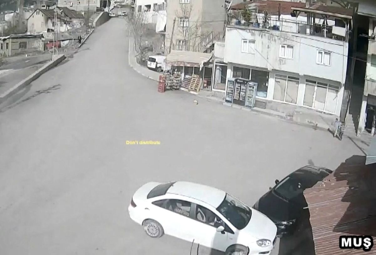 Van ve Muş\'ta Meydana Gelen Trafik Kazaları Mobese Kameralarına Takıldı