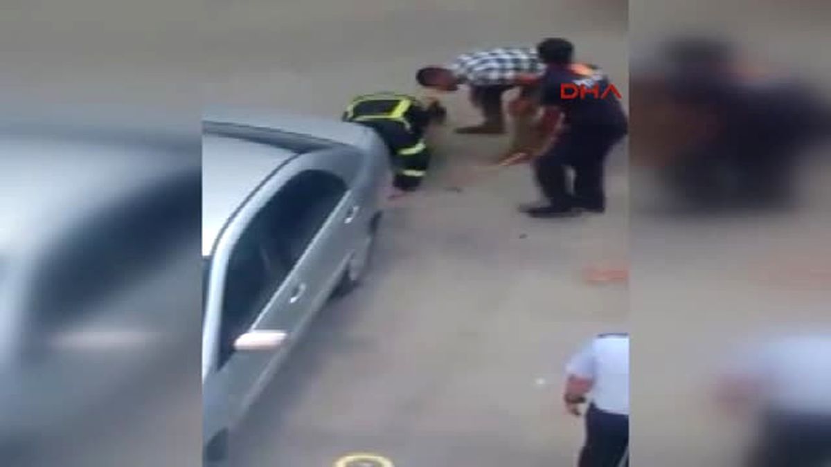 Yılanı Tek Eliyle Yakaladı