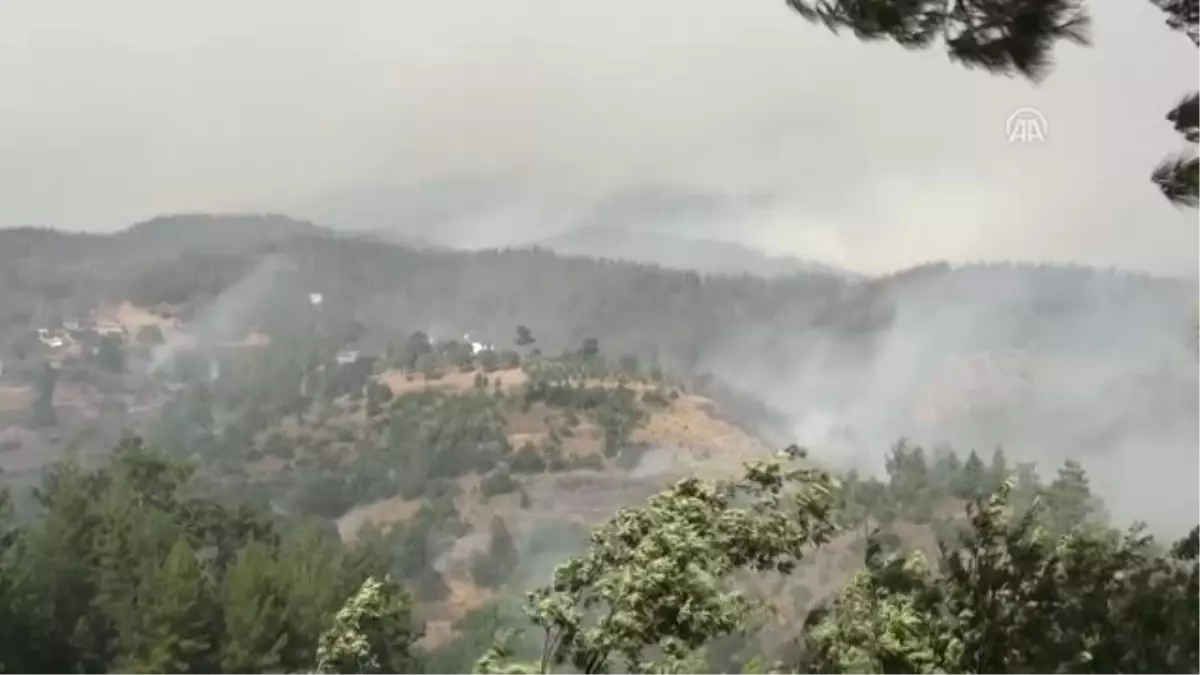 Alanya\'da Orman Yangını