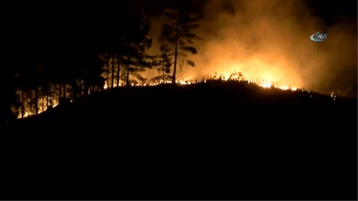 Alanya\'daki Orman Yangınını Müdahale Sürüyor: 12 Yaralı
