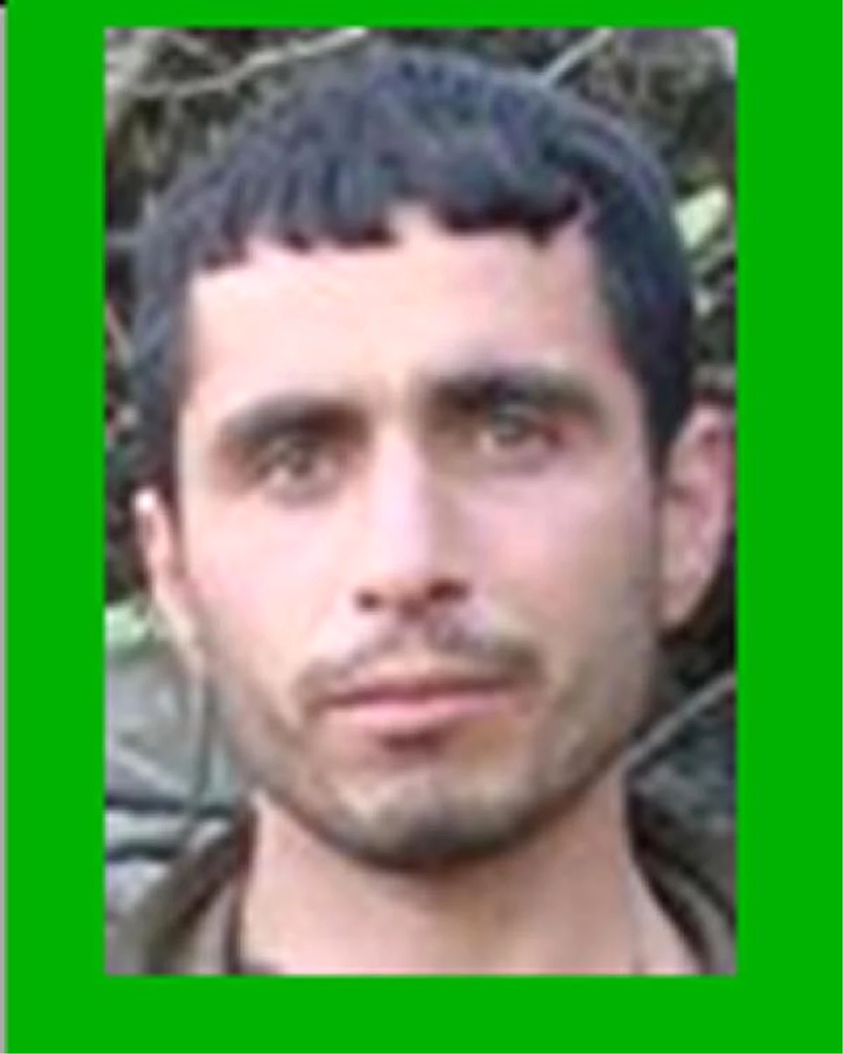 Diyarbakır Lice\'de Öldürülen PKK\'lılardan Biri \'Yeşil\' Liste ile Aranıyordu