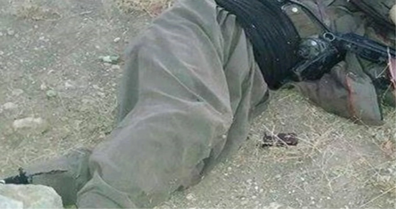 İçişleri Bakanlığı Açıkladı: Yeşil Listedeki İki Terörist Öldürüldü
