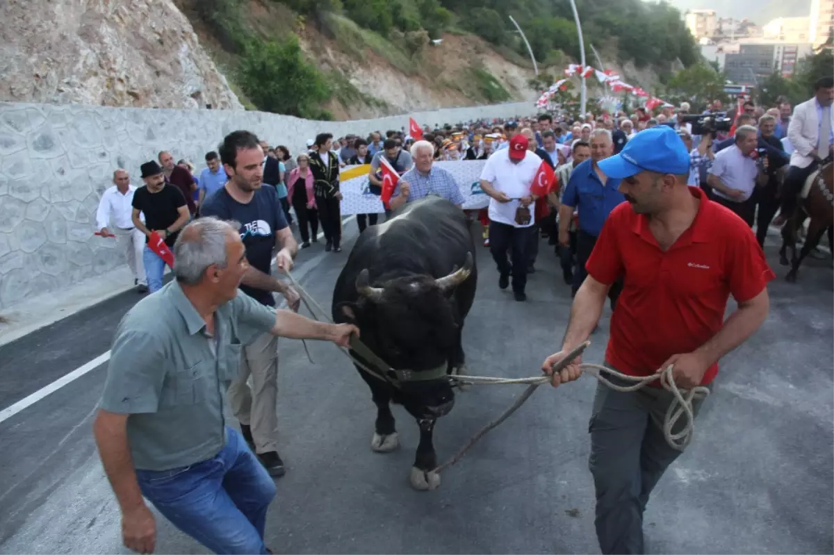 Kafkasör Festivali Boğalar Eşliğinde Yürüyüşle Başladı