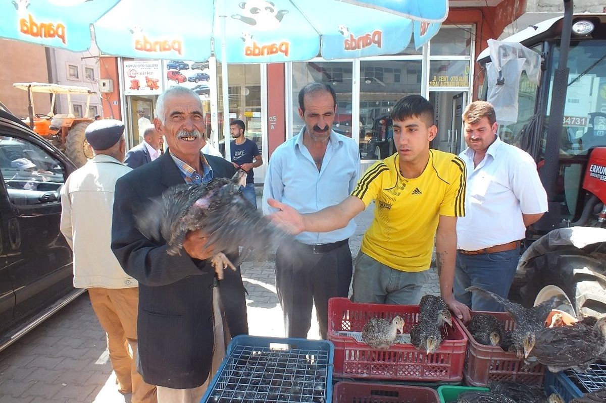 Malazgirt\'te Hindi Satışları Başladı