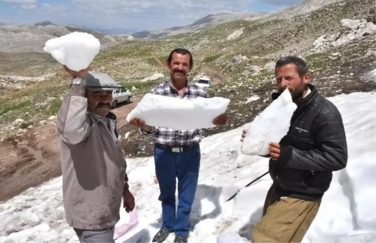 Sıcaktan Bunalan Torosların Karıyla Serinliyor