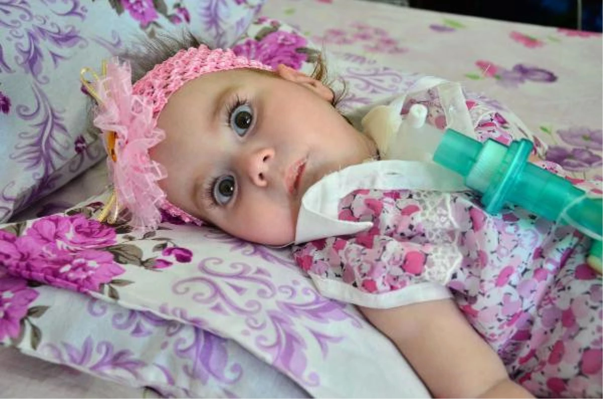 Sma Hastası Zeynep Bebek, Yaşama Tutunamadı