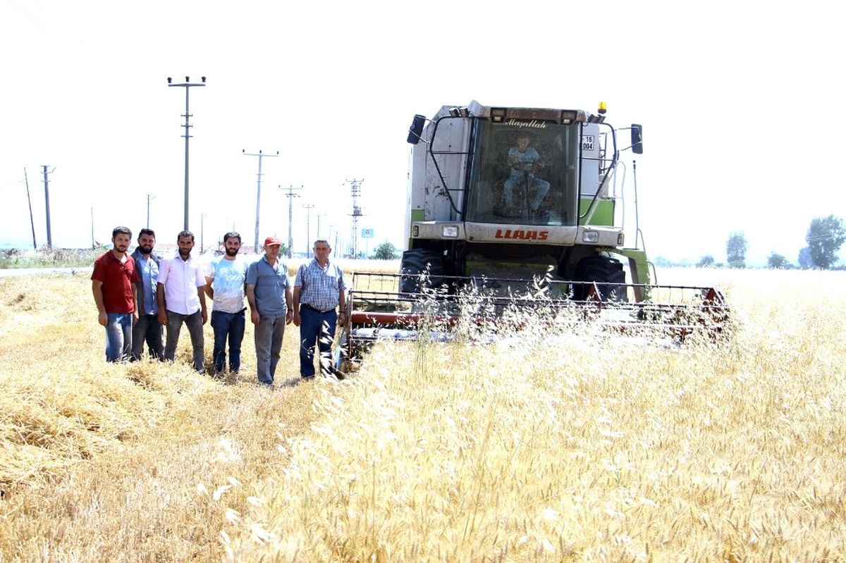 Yenişehirli Çiftiler TMO\'nun Alım Yapmasını İstiyor