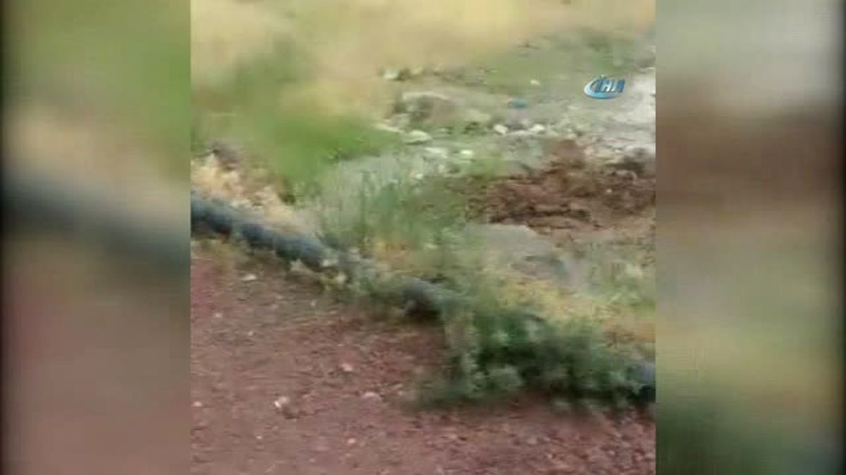 Yurt Genelinde Kavurucu Sıcaklar, Van\'da Sel Felaketi