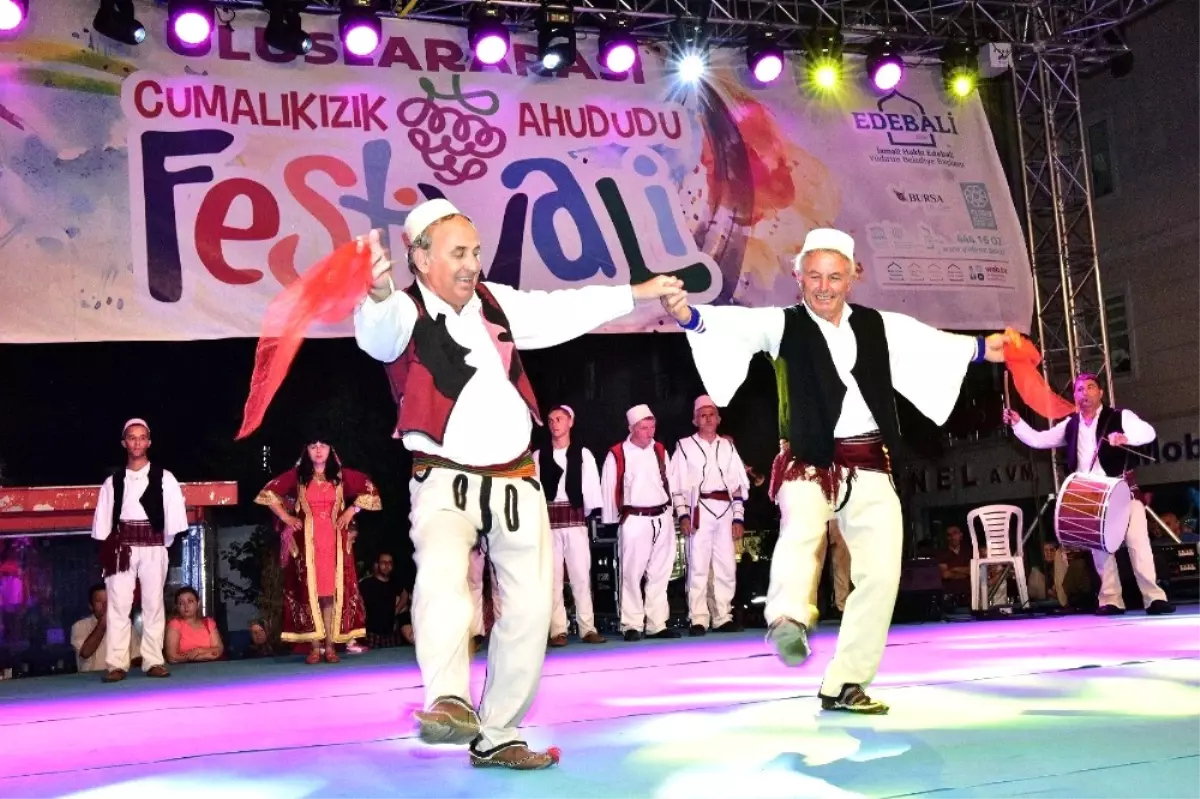 3. Uluslararası Cumalıkızık Ahududu Festivali