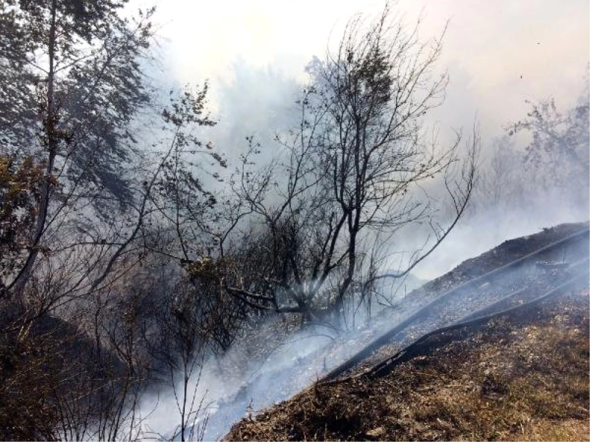 Alanya\'da Turistik Bölgede Makilik Yangını (2)