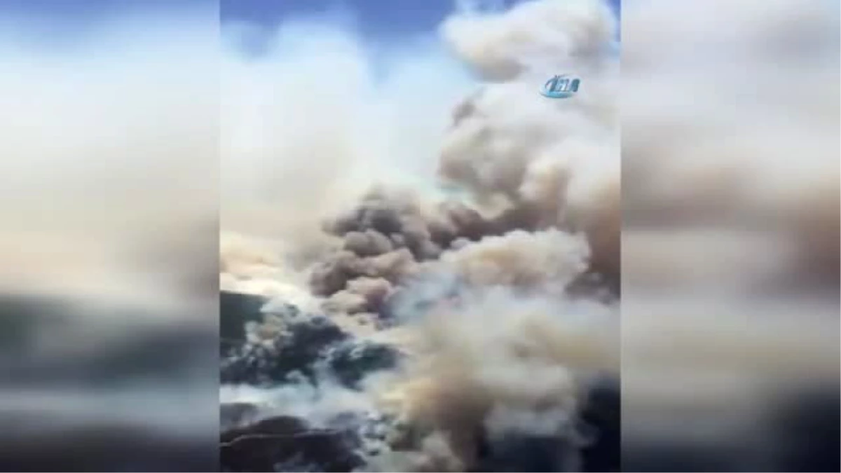 Alanya\'daki Orman Yangını Havadan Görüntülendi