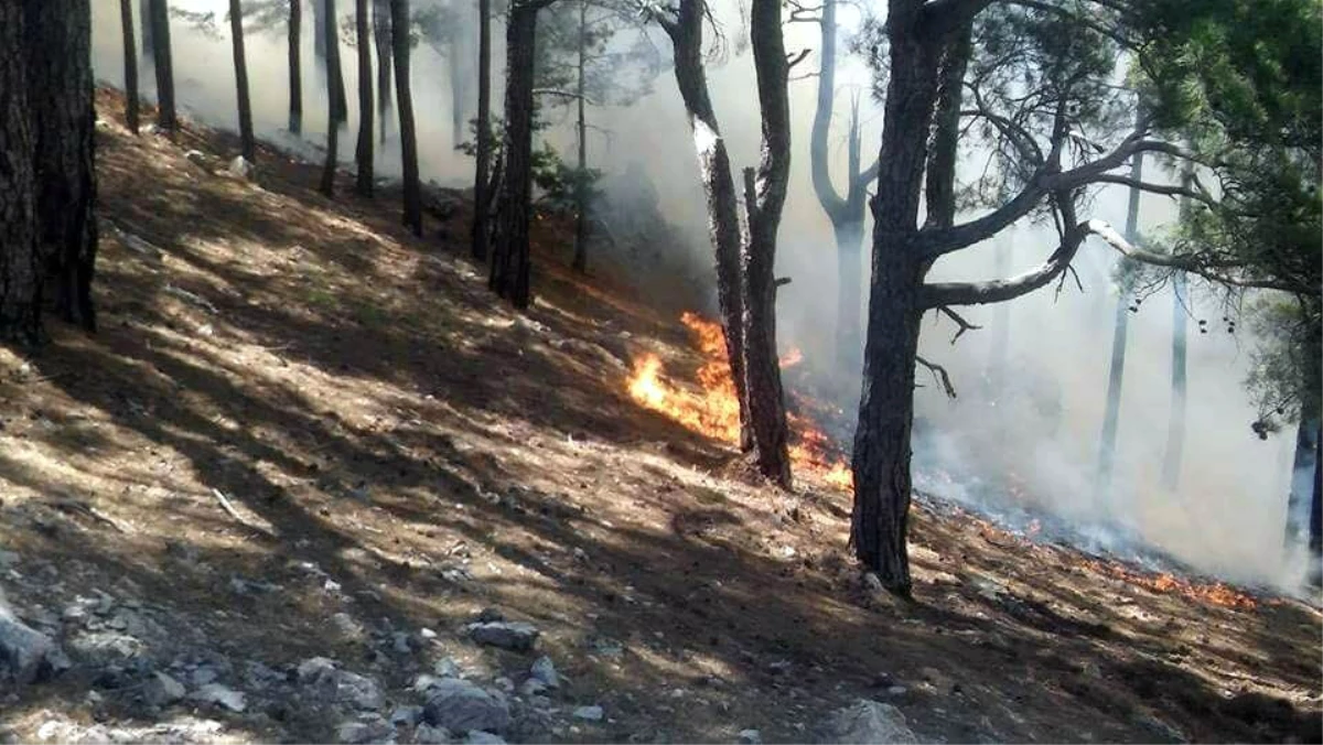 Anamur\'daki Orman Yangını Devam Ediyor, Evler Boşaltıldı